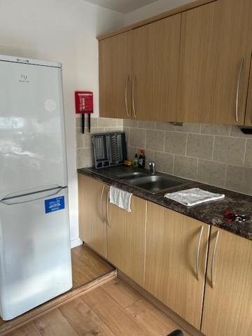 Shoreditch Hoxton Large 3 Bed Garden Flat Free Parking Aor Only Apartment London